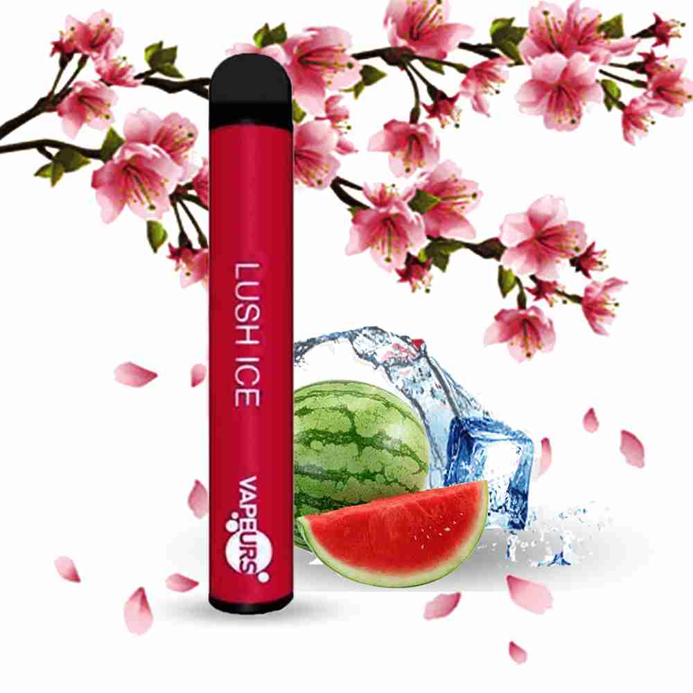 Vapeurs 600 Puffs Disposable Vape Pod - Pack of 10 Euro Vapes Vapeurs 600 Puffs Disposable Vape Pod - Pack of 10 Euro Vapes