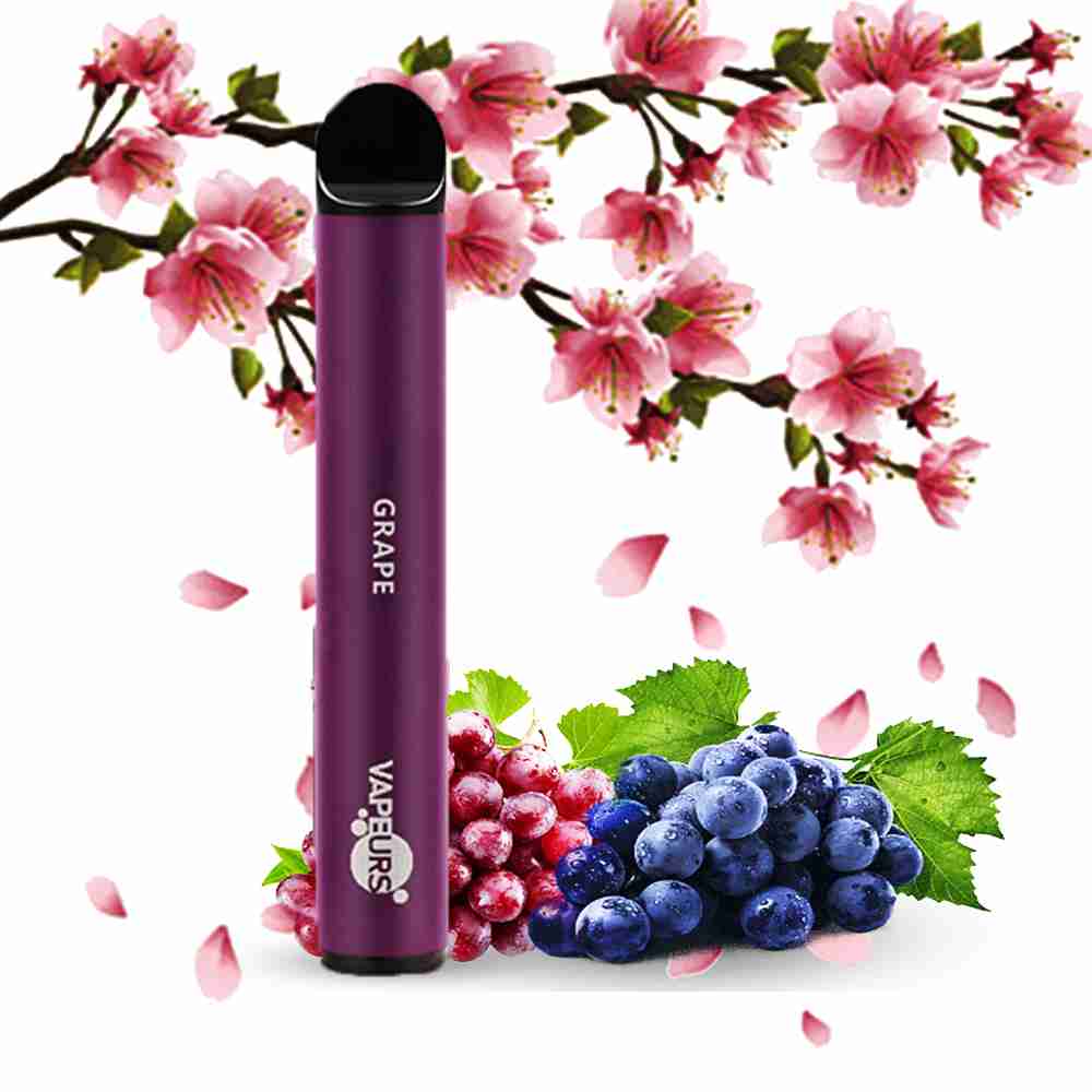 Vapeurs 600 Puffs Disposable Vape Pod - Pack of 10 Euro Vapes Vapeurs 600 Puffs Disposable Vape Pod - Pack of 10 Euro Vapes